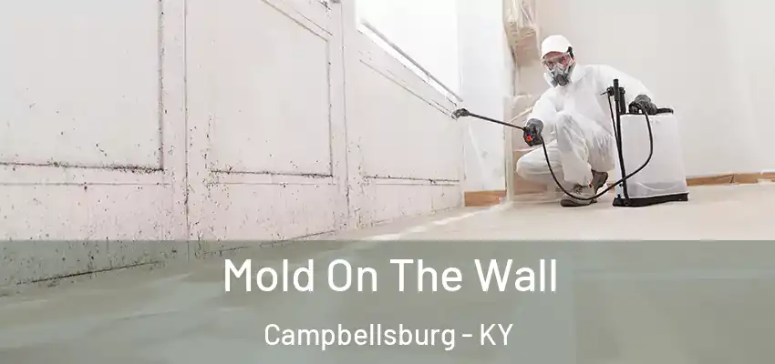 Mold On The Wall Campbellsburg - KY