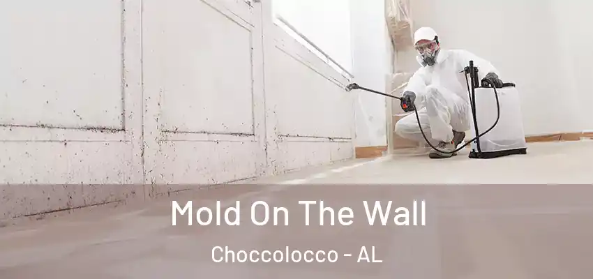  Mold On The Wall Choccolocco - AL