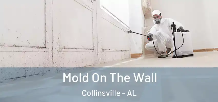  Mold On The Wall Collinsville - AL