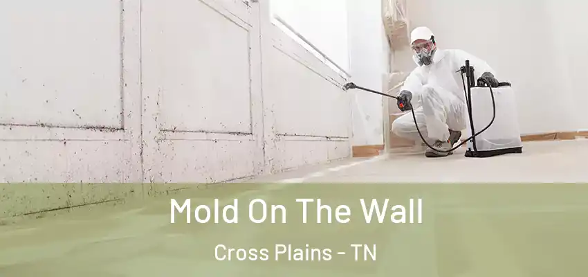  Mold On The Wall Cross Plains - TN