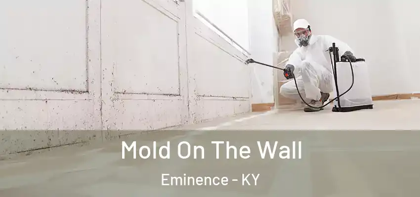  Mold On The Wall Eminence - KY