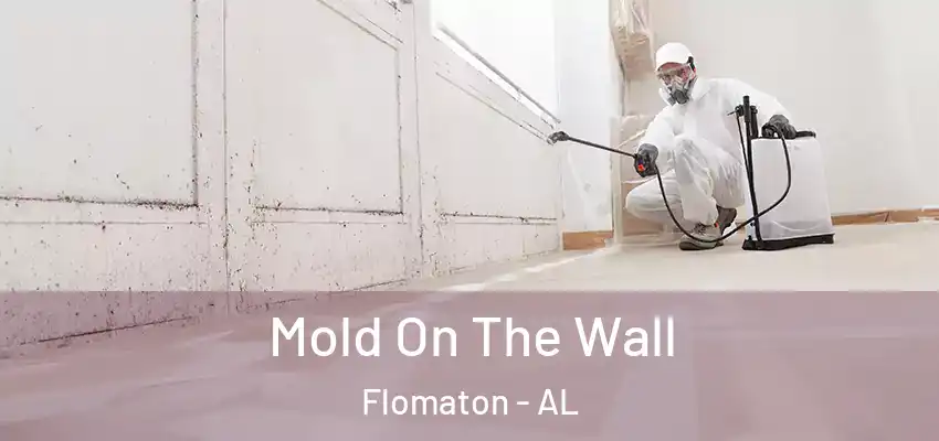  Mold On The Wall Flomaton - AL