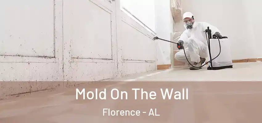  Mold On The Wall Florence - AL