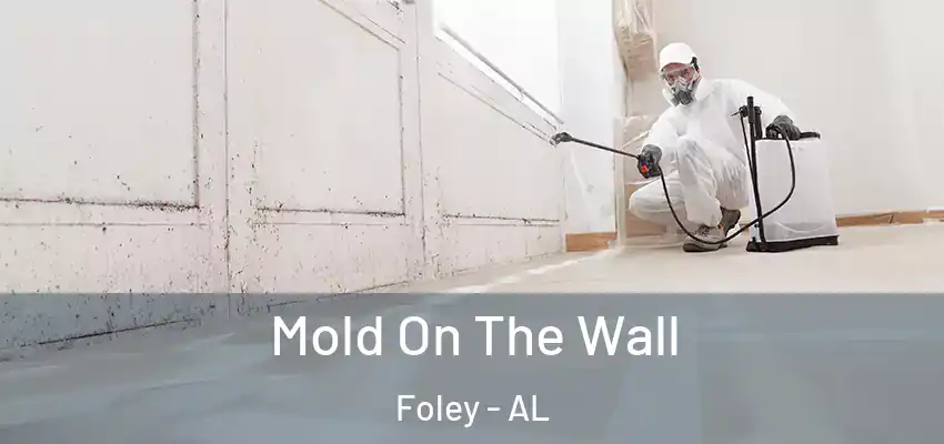  Mold On The Wall Foley - AL