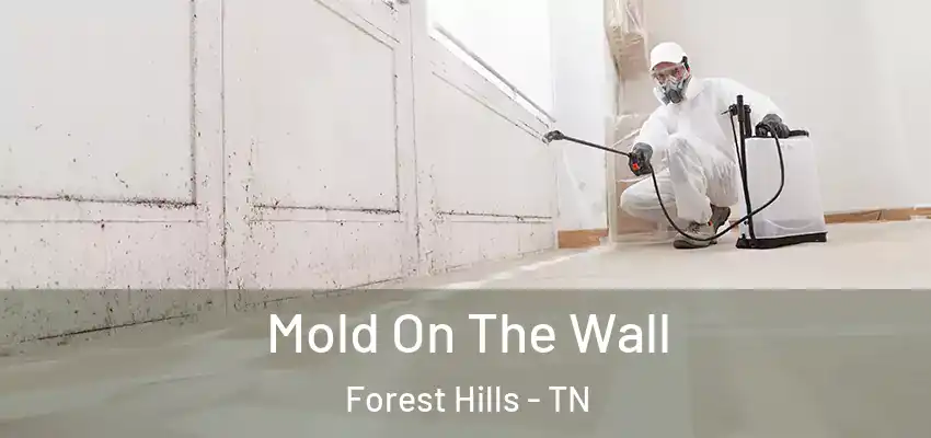 Mold On The Wall Forest Hills - TN