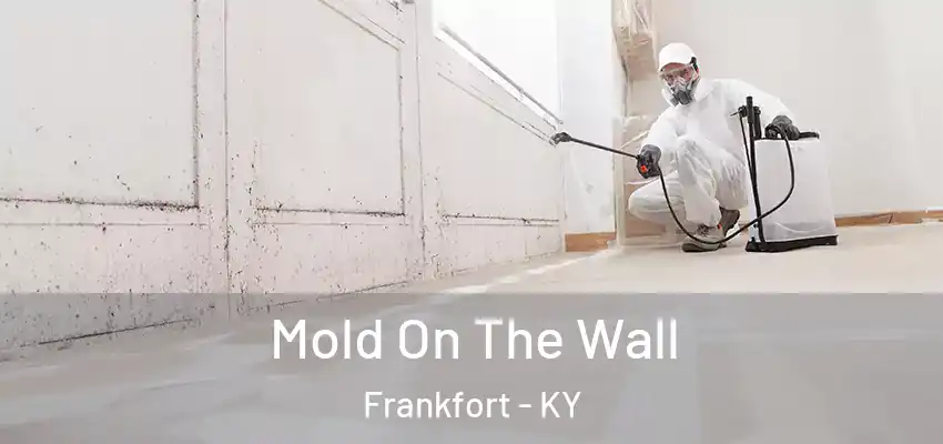 Mold On The Wall Frankfort - KY