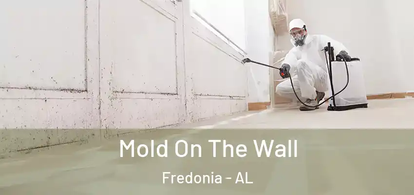  Mold On The Wall Fredonia - AL