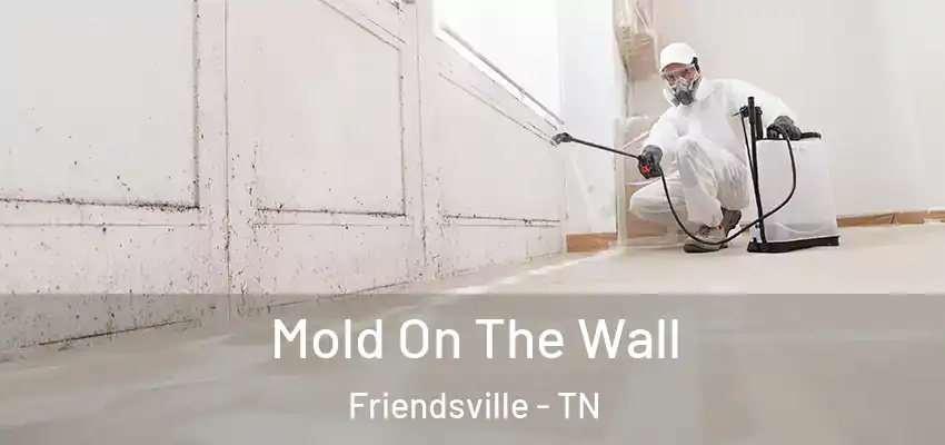 Mold On The Wall Friendsville - TN