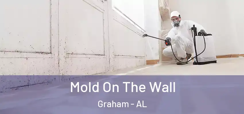  Mold On The Wall Graham - AL
