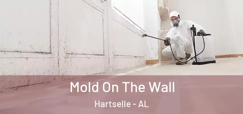 Mold On The Wall Hartselle - AL