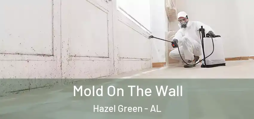  Mold On The Wall Hazel Green - AL