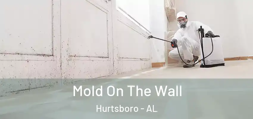 Mold On The Wall Hurtsboro - AL