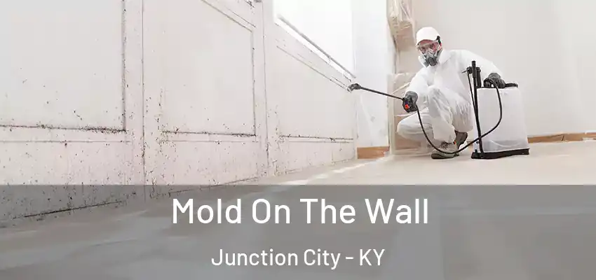  Mold On The Wall Junction City - KY