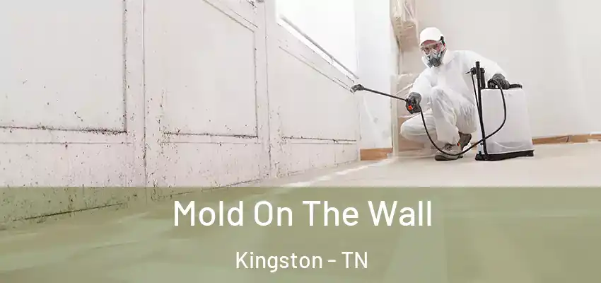  Mold On The Wall Kingston - TN