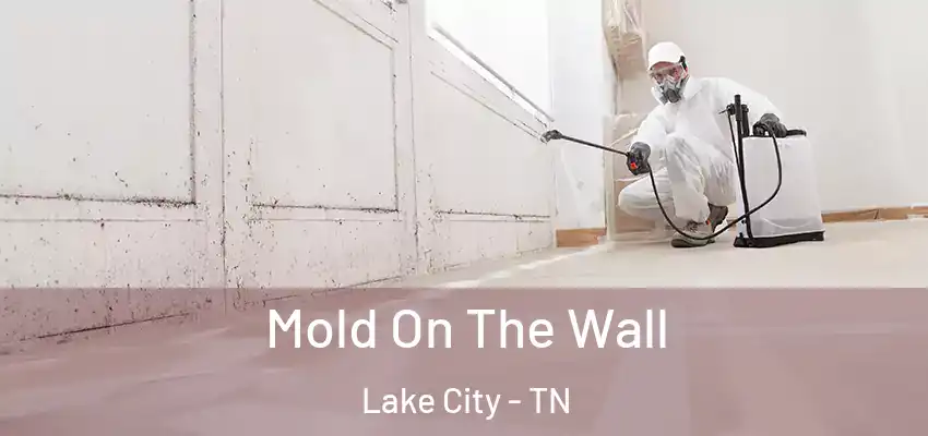 Mold On The Wall Lake City - TN