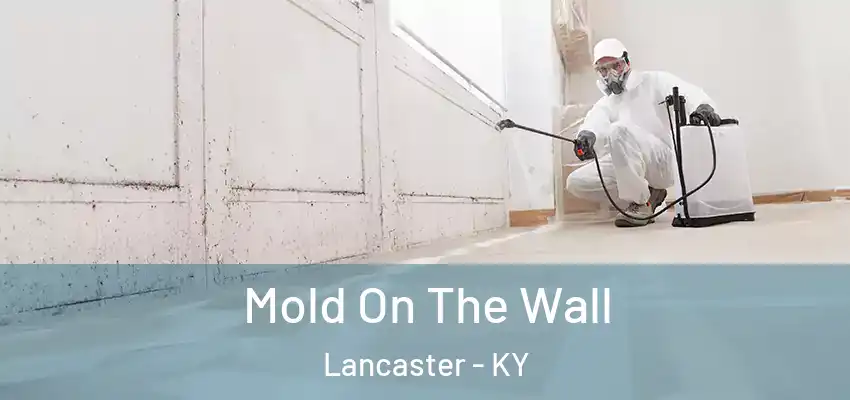  Mold On The Wall Lancaster - KY