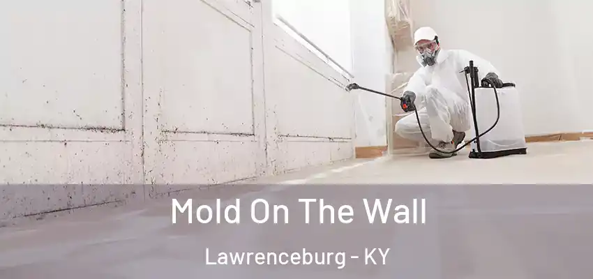 Mold On The Wall Lawrenceburg - KY