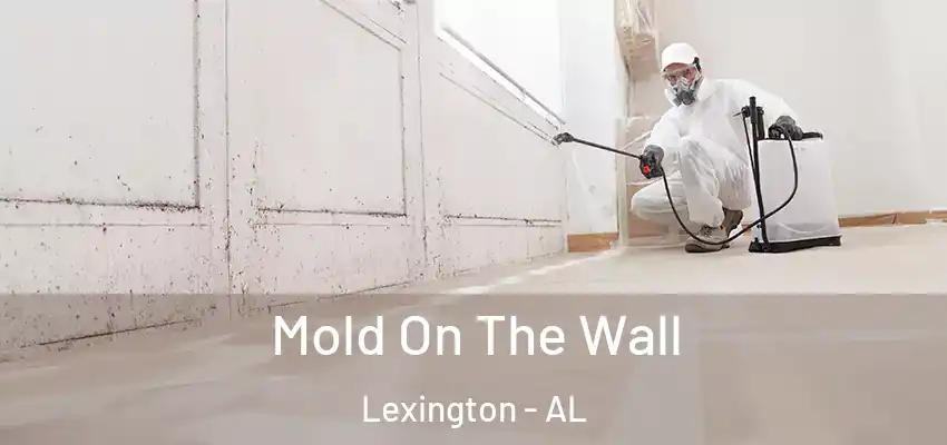 Mold On The Wall Lexington - AL