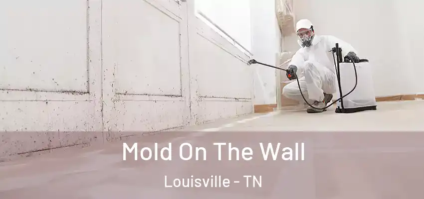  Mold On The Wall Louisville - TN