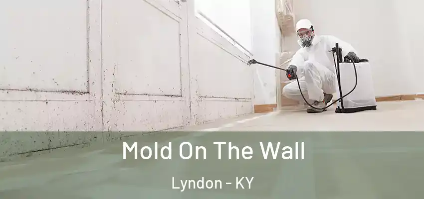  Mold On The Wall Lyndon - KY