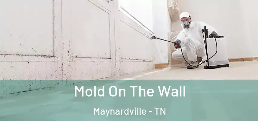 Mold On The Wall Maynardville - TN