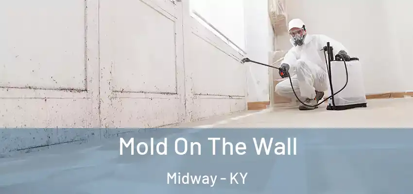 Mold On The Wall Midway - KY
