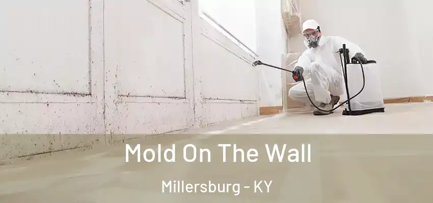 Mold On The Wall Millersburg - KY