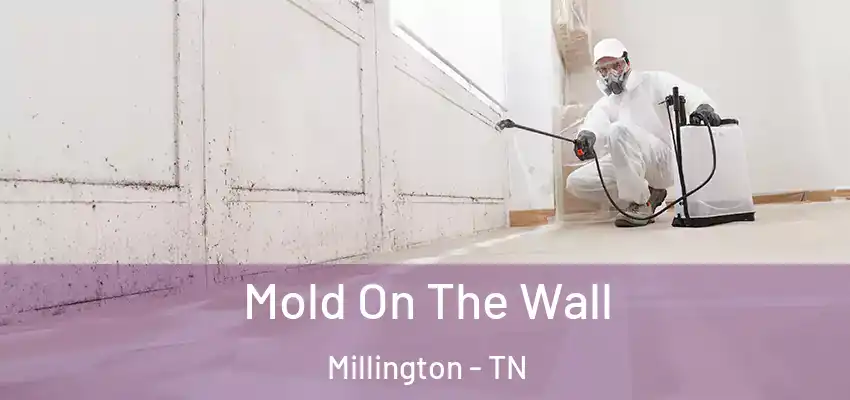  Mold On The Wall Millington - TN