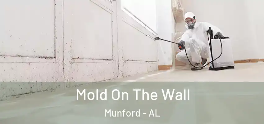 Mold On The Wall Munford - AL
