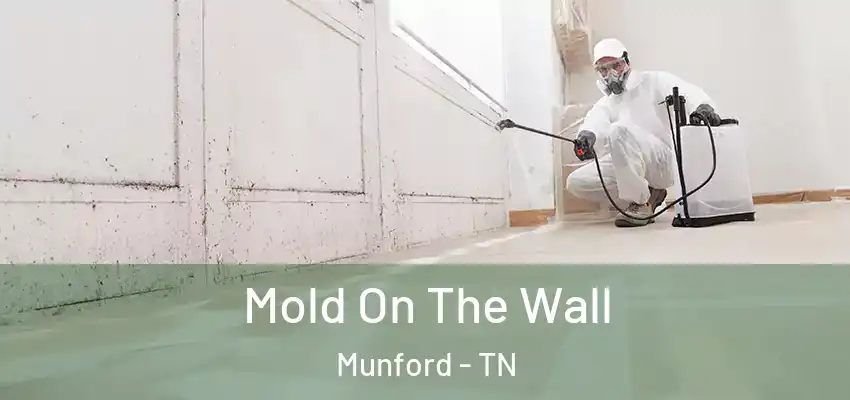  Mold On The Wall Munford - TN
