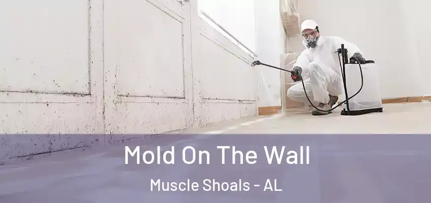 Mold On The Wall Muscle Shoals - AL