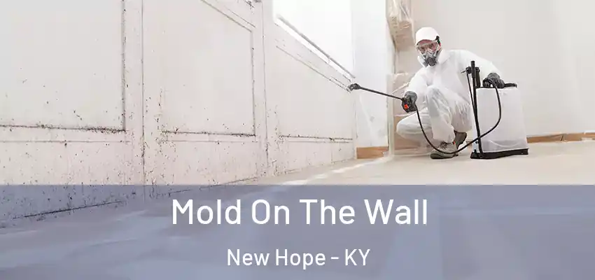 Mold On The Wall New Hope - KY