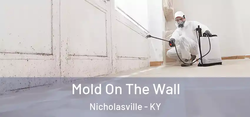 Mold On The Wall Nicholasville - KY