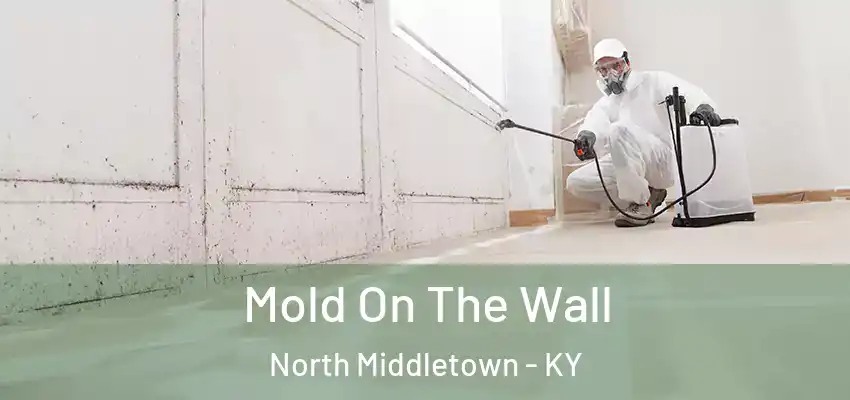 Mold On The Wall North Middletown - KY