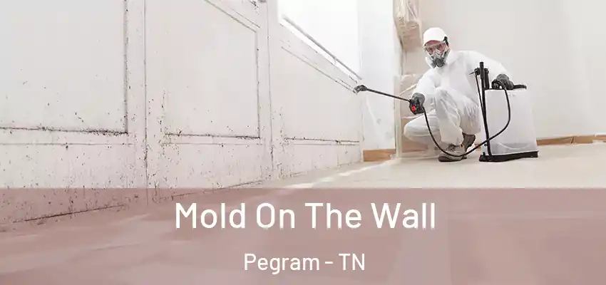  Mold On The Wall Pegram - TN