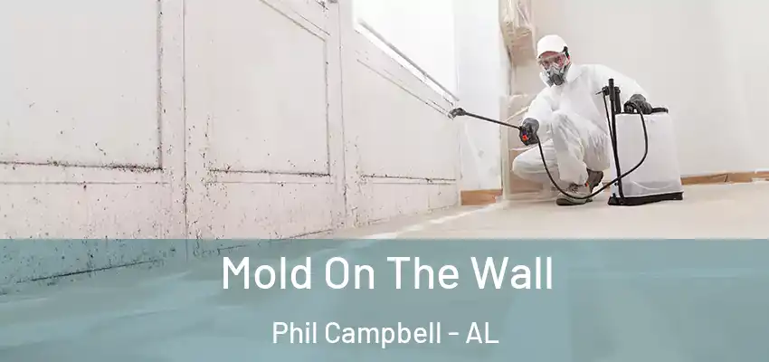Mold On The Wall Phil Campbell - AL
