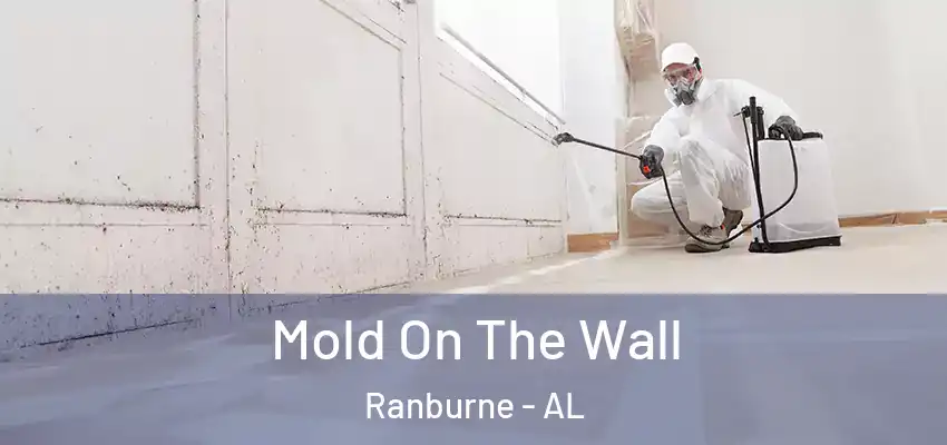  Mold On The Wall Ranburne - AL