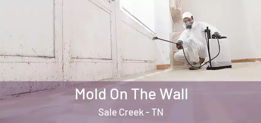  Mold On The Wall Sale Creek - TN