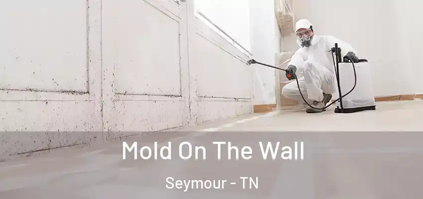 Mold On The Wall Seymour - TN