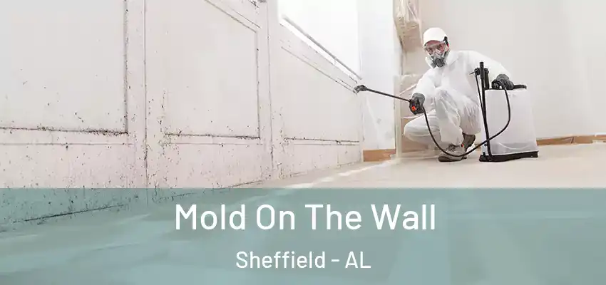  Mold On The Wall Sheffield - AL