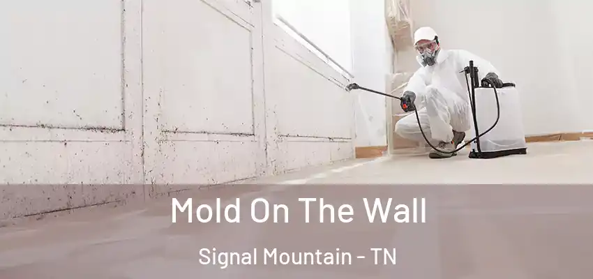  Mold On The Wall Signal Mountain - TN