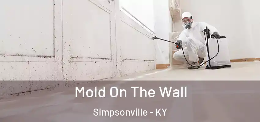  Mold On The Wall Simpsonville - KY