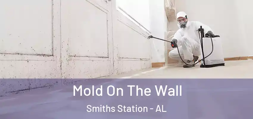  Mold On The Wall Smiths Station - AL