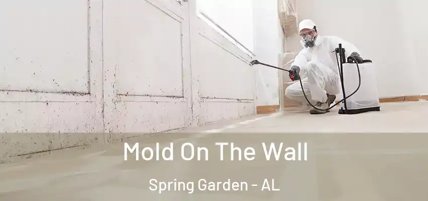  Mold On The Wall Spring Garden - AL