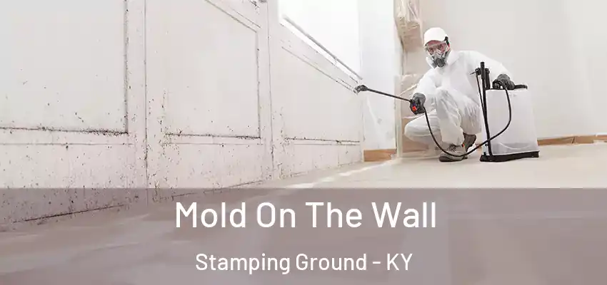 Mold On The Wall Stamping Ground - KY
