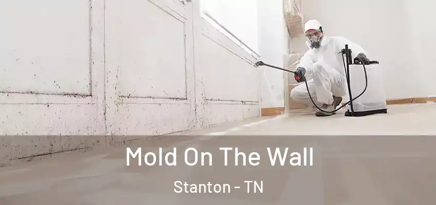 Mold On The Wall Stanton - TN