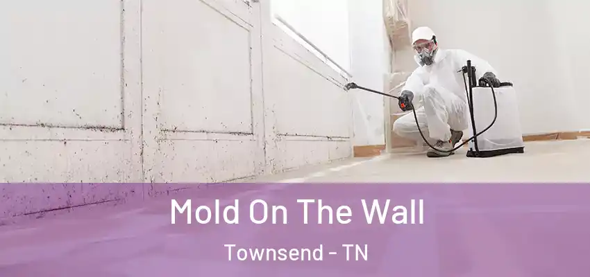  Mold On The Wall Townsend - TN