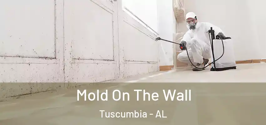 Mold On The Wall Tuscumbia - AL