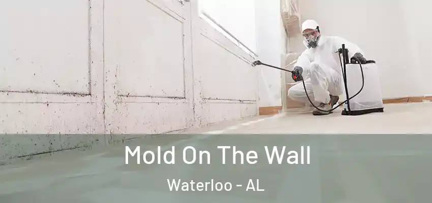  Mold On The Wall Waterloo - AL