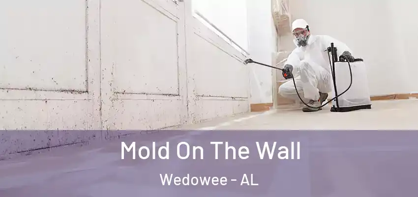 Mold On The Wall Wedowee - AL